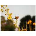 0787a19b-0c47-4c60-b233-82d439994f12