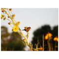 5bcdfa91-b3f6-45aa-9f94-21cccea4f881