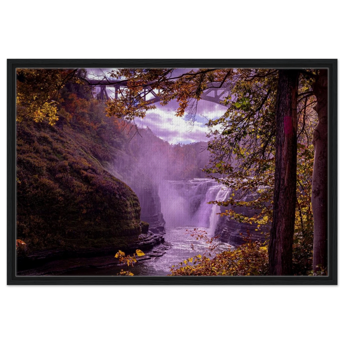 6782b2aa-4863-48e5-9aea-f19c7cb1e5ac