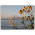 cf174d24-63b9-4fd0-be6d-75403939b392