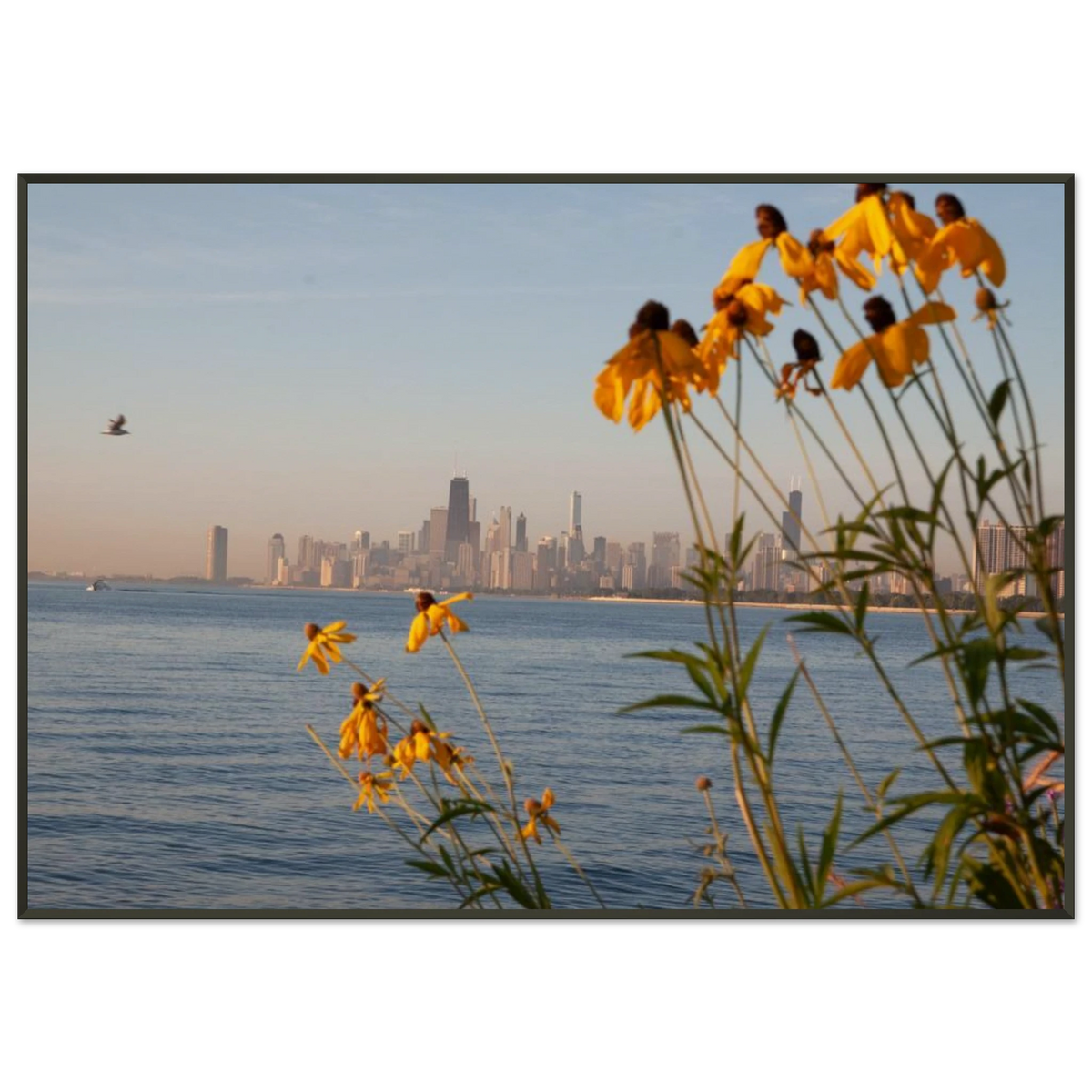 cf174d24-63b9-4fd0-be6d-75403939b392